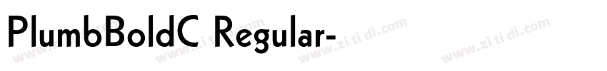 PlumbBoldC Regular字体转换